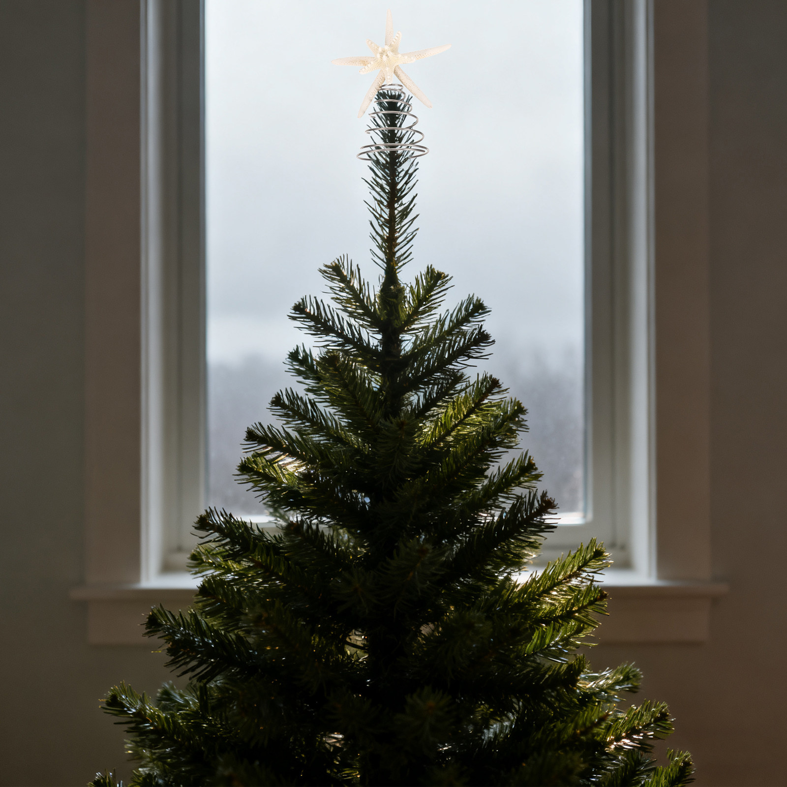 Star Tree Topper - Kust-kerstboomtopper, zeedraad, vijfpuntige ster, boomtopdecoratie, oceaan-thema,